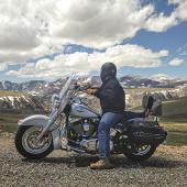 Harley Biker, Motorcycle, Outdoors