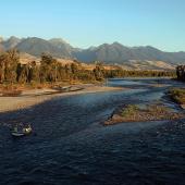 Yellowstone River, Upper Yellowstone, fly fishing, fishing Montana,