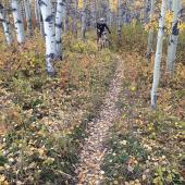Red Lodge Trail
