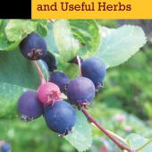 edible plants, survival, nature