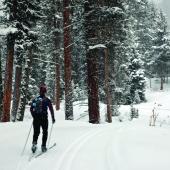 Cross country skiing, Bozeman winter activities, 
