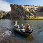Lower Madison, Madison River, Fly Fishing, Montana