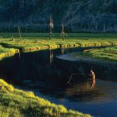 fly-fishing, bozeman montana, first fish, trout