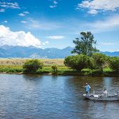 Jefferson River, Trout Unlimited, Fly Fishing, Montana