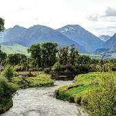 Armstrong Spring Creek, spring fishing, spring runoff
