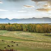 Kelly Ranch bozeman montana