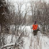 rabbit hunting, winter, hunting