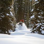 snowmobiling, sledding, snow conflicts