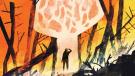 Life after Fire illustration