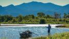 fly fishing jefferson river