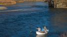 Missouri river drift boat fly fishing
