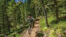 Biking Mountains to Meadows