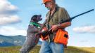 Hunting dog and man
