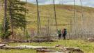backpacking yellowstone