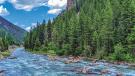 Gallatin river