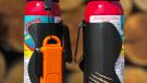 ADS holster and alarm