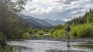 Fly fishing on the banks of the Middle Fork of the Flathead