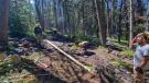 Trail work with the MCC