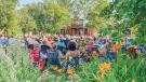 Enjoying Montana Shakespeare in the Parks
