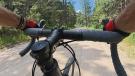 Vybe Suspension Stem