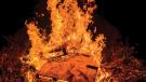 pallet fire, bonfire, stewardship